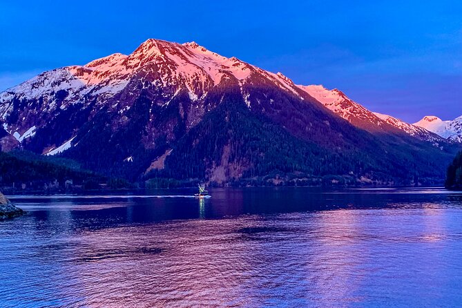 Explore Beyond the Dock: Unforgettable Private Tour in Sitka - Witnessing the Majestic Alaska Raptor Center