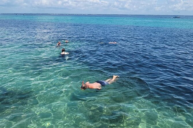 Family Friendly Snorkeling and Dolphin Tour - Crew and Onboard Amenities