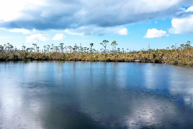 Florida Keys Nature & History Tour From Key West - Accessibility and Conditions