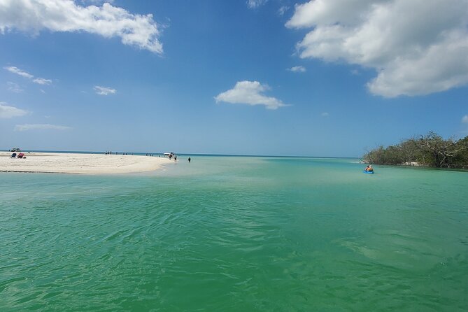 Fort Myers Beach Sightseeing With Shark Teeth and Shelling Tour - Inclusions and Accessibility