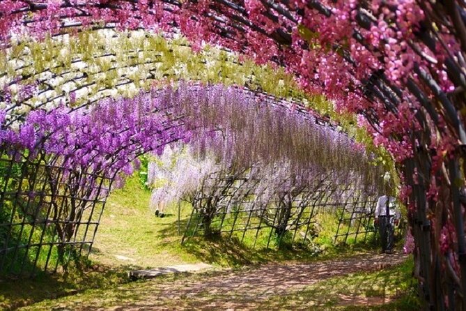 French Dining at Matsumoto Residence and Kawachi Wisteria YokaBus - Exploring the Former Matsumoto Residence