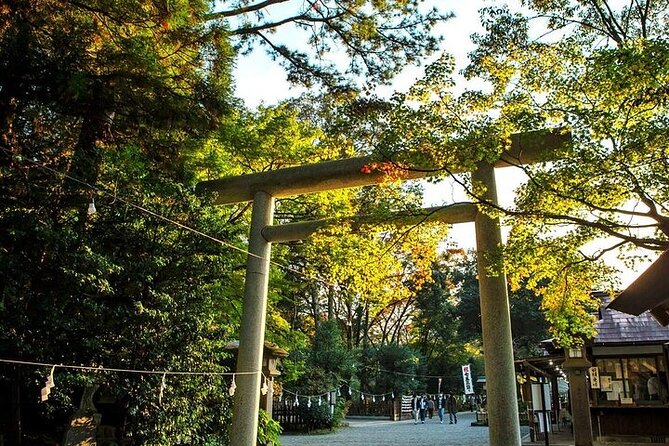 From Fukuoka: Day Trip to Miyazaki Takachiho Gorge & Shrine - Best Time to Visit