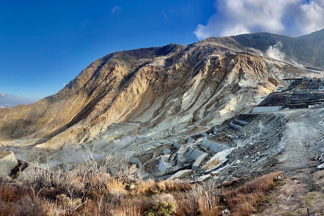 Fuji and Hakone Private Tour With English Guide and Photography - Discovering Hakones Wonders
