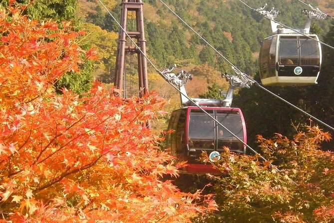 Fuji Day Trip to Hakone Pirate Boat Ropeway Gotemba Outlets - Policies and Conditions