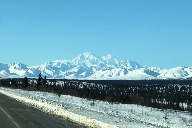 Full Day Fairbanks to Denali Winter Adventure Tour - Traveler Experience and Feedback