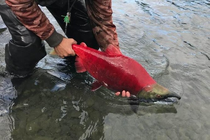 Full Day Fishing Trips - Traveler Feedback and Ratings