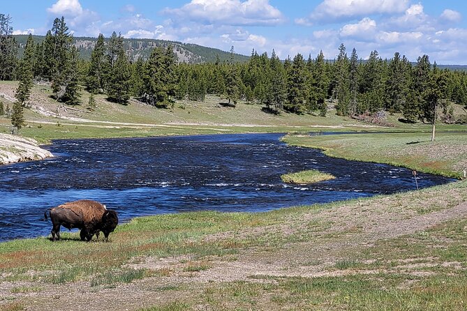 Full-Day Guided Yellowstone Day Tour - Booking and Pricing