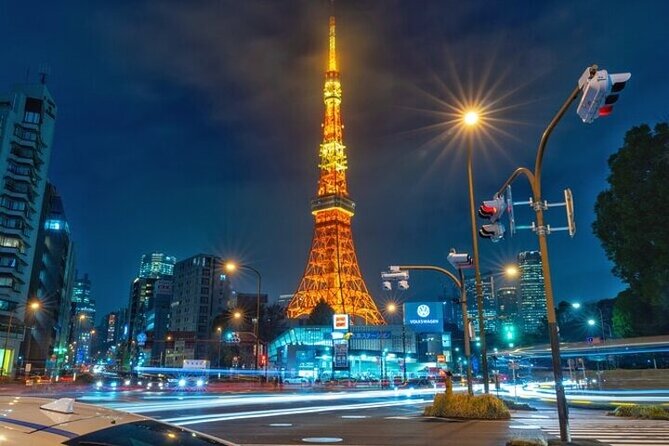Full Day Private Tokyo Sightseeing Tour - Additional Information