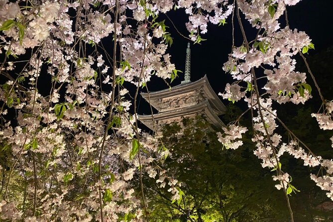 Full Day Private Tour in Kyoto With Pickup - Highlights of the Kyoto Tour