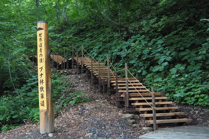 Full Day World Heritage Shirakami Mountains Hiking Tour - Exploring the Shirakami Mountains