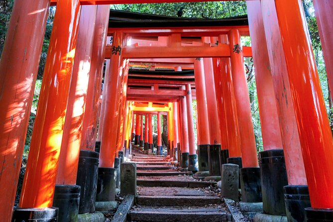 Fushimi Inari Deep Shinto Shrine Tour While Hiking With Expert - Exploring the Iconic Torii Gates