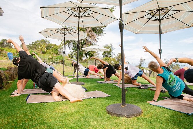 Goat Yoga With Miniature Goats in Maui - Accessibility and Logistics