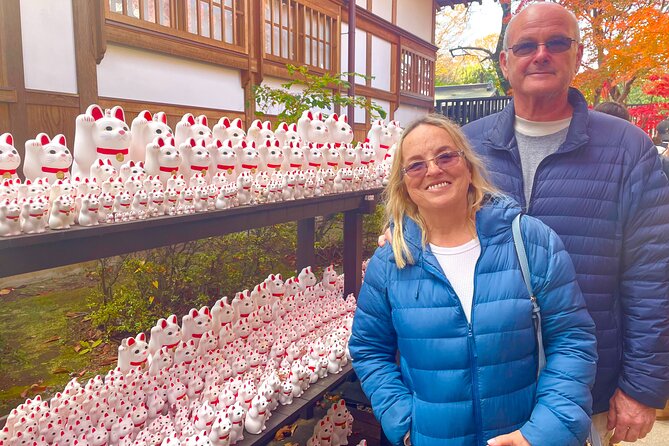 Gotokuji Cat Temple Shinjuku Cat Cafe and 3D Cat Tour - Exploring Gotokuji Cat Temple