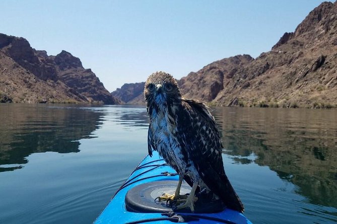 Grand Canyon Helicopter Flight With Emerald Cave Kayak Tour - Customer Reviews and Feedback