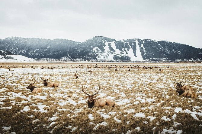 Grand Teton Private Winter Tour - Breathtaking Landscape
