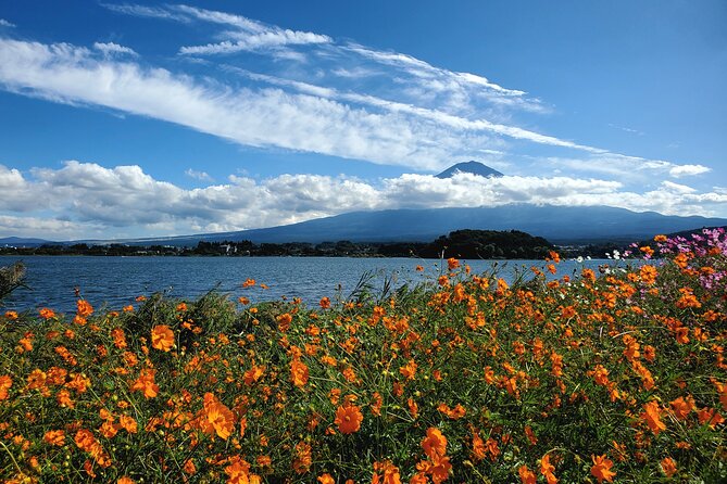 Guided 2 Days Mt. Fuji and Hakone Tour GREEN NUMBER PLATES - Accessibility and Participation
