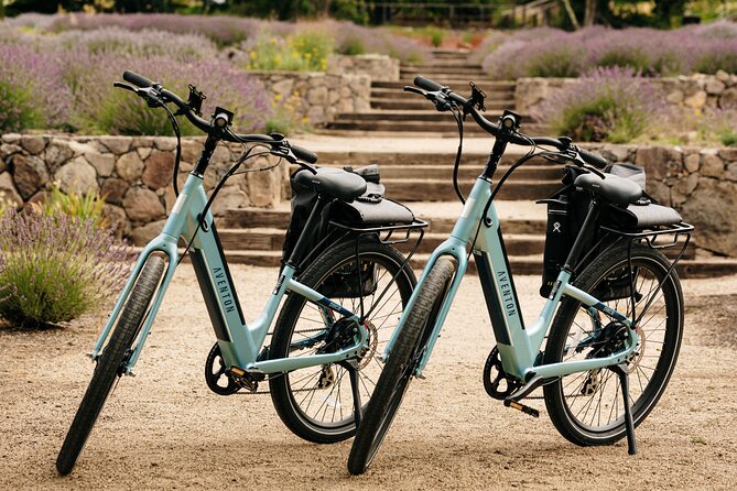 Guided Electric Bike Wine Tour Through Sonoma County - Transportation and Safety Features