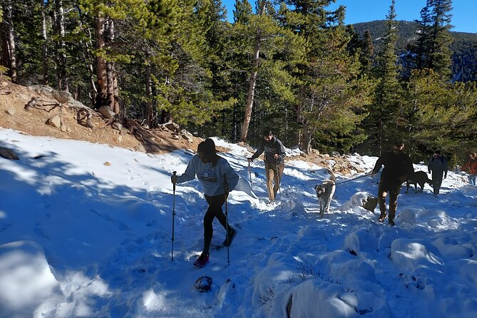 Guided Hike in Rockies - Half Day Trip - Customer Reviews and Ratings