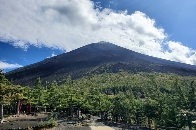 Guided Shimizu Port to Mt. Fuji Private Tour GREEN NUMBER PLATES - Exploring Shimizu Port