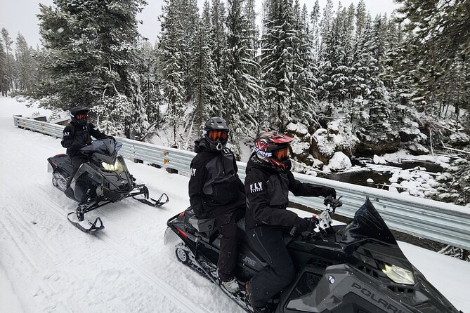 Guided Snowmobile Tours In The National Volcanic Monument - Customer Reviews and Experiences