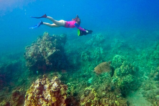 Guided Turtle Town Snorkel Tour With Sea Scooter - Makena - Marine Life Encounters