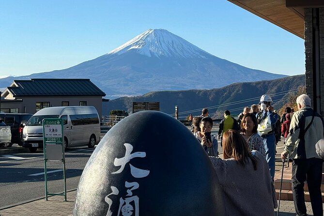 Hakone'S Best Hot Springs & Scenic Lake Ashi Cruise From Tokyo - Tour Schedule and Logistics