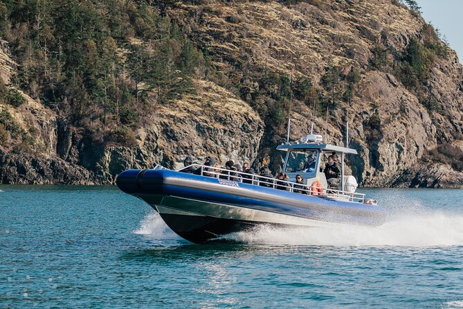 Half-Day Anacortes Whale and Wildlife Watching Guided Adventure - Orca Whale Sightings