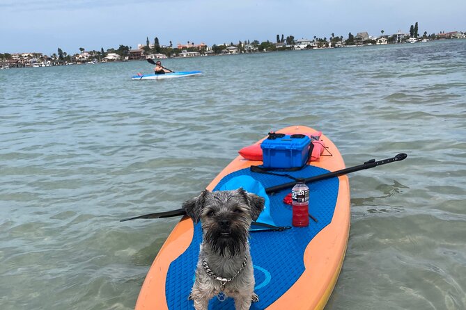 Half Day Excursion to Johns Pass Sandbar & Mangrove Tunnel - Wildlife Encounters