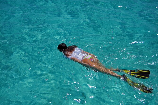 Half-Day Florida Keys Catamaran Snorkel Adventure - Customer Feedback and Additional Details