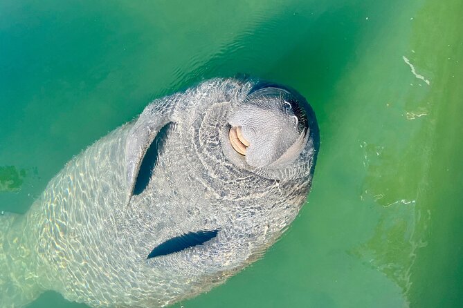 Half-Day Morning Trip From Key West With Kayaking and Snorkeling - Kayaking Experience