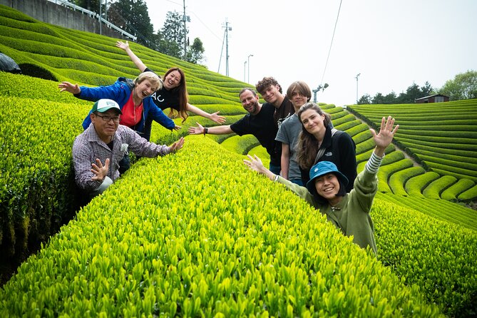 Half Day Nara and Matcha Farm Private Van Tour - Booking Information