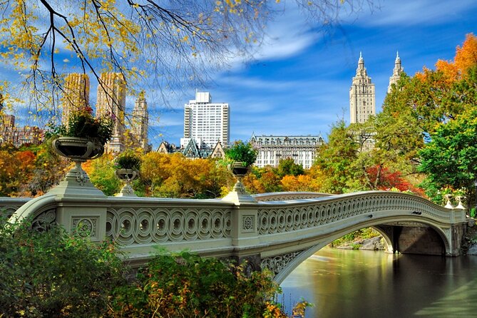 Half Day New York City Private Tour - Customer Feedback and Reviews