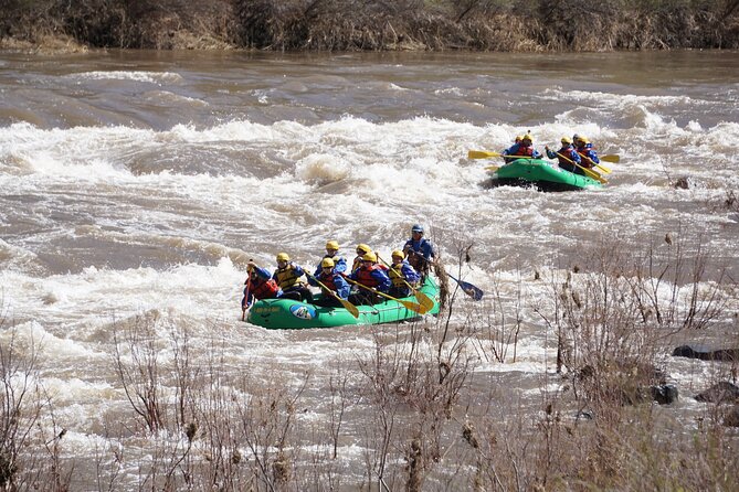 Half-Day Salt River Whitewater Rafting - Dietary Options Available
