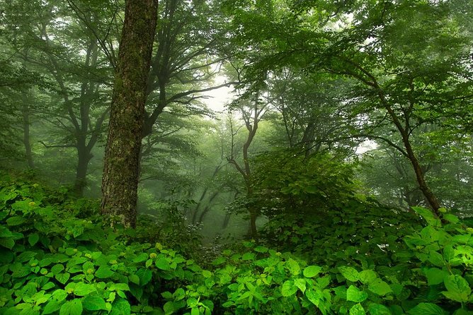 Half-Day Tour With Instruction in Vistas & Waterfall Photography - Instructor Expertise