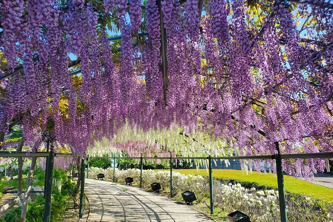 Hamamatsu Flower Park & Lake Hamana Private Tour With Public Bus - Hamamatsu Flower Park Highlights