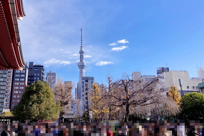 Haneda Layover Tokyo Private Tour by Public Transportation - Customizing the Tour Experience