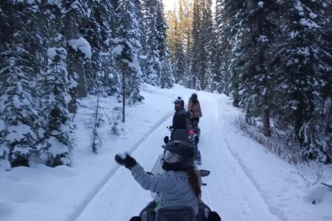 Heart Six Snowmobiling in Jackson Hole - Guide Highlights
