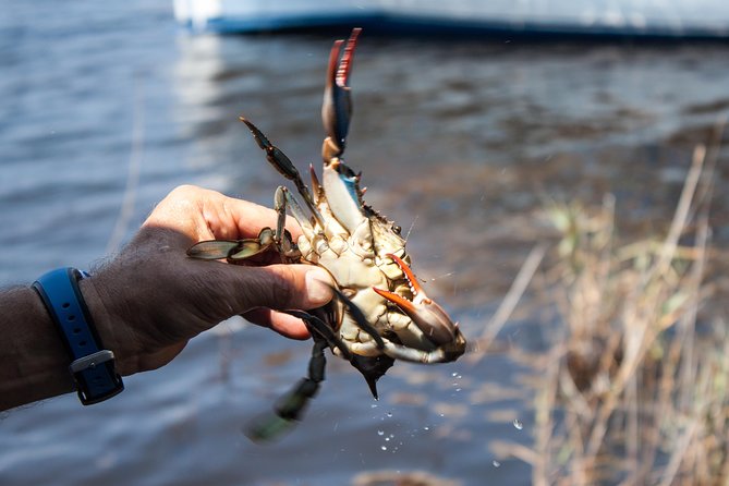 Hilton Head Crabbing Expedition Boat Cruise - Customer Reviews and Feedback