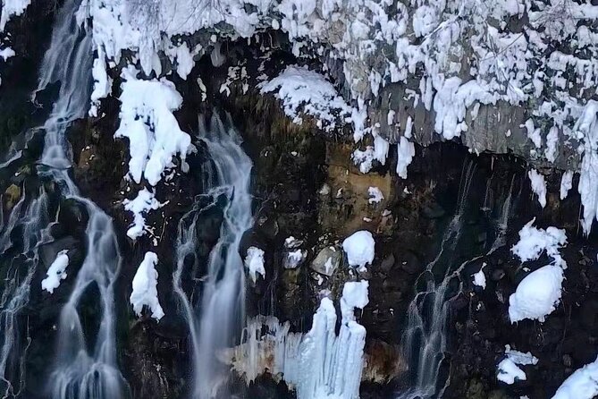 Hokkaido Furano and Biei Private Day Tour（Depart From Sapporo） - Explore Furano