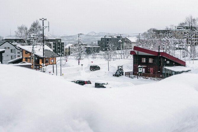 Hokkaido Niseko Ski Day Tour（Depart From Sapporo） - Booking and Payment