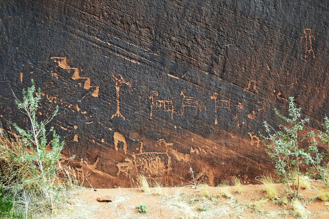 Horseshoe Bend Rafting Trip in Page - Cancellation and Booking Options
