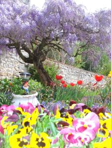Hotel De La Ferté - Activities and Services Offered