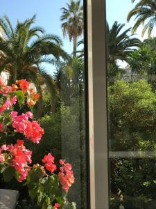 Hotel Le Festival - The Sum Up