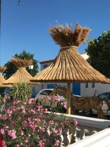 Hotel Le Neptune in Camargue - Location and Nearby Attractions