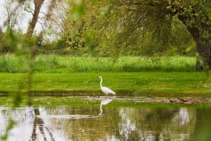 Hotel Spa Les Saules - The Sum Up