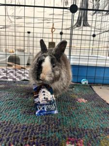 Hotel Victoria - The Sum Up