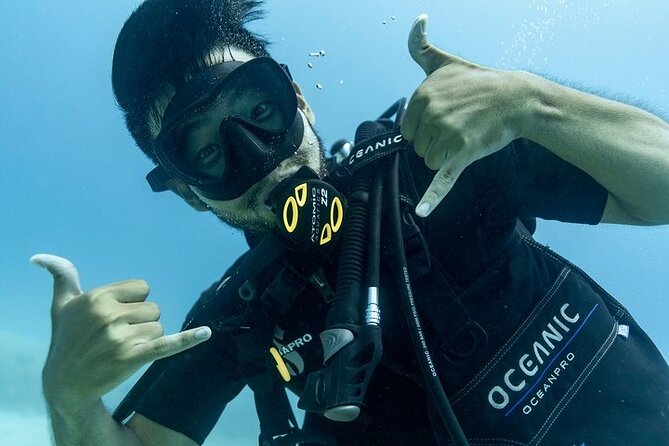 Incredibly Fun 2-Tank Boat Dive From Waikiki -Beginners Welcome - Preparing for the Dive