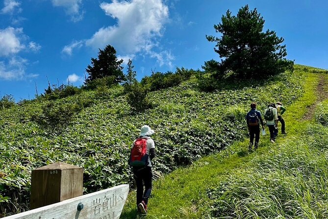 [Japan Wellness] Hiking and Matcha With a Monk in Hiroshima - Unwind in a Peaceful Temple Setting