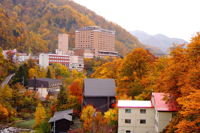 Jozankei Autumn Leaves Day Tour by Private Car - Cancellation and Payment