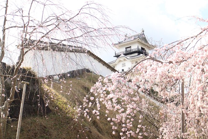 Kakegawa Castle and Sake Tasting Private Tour With Public Train - Combining History and Tradition: The Tours Highlights